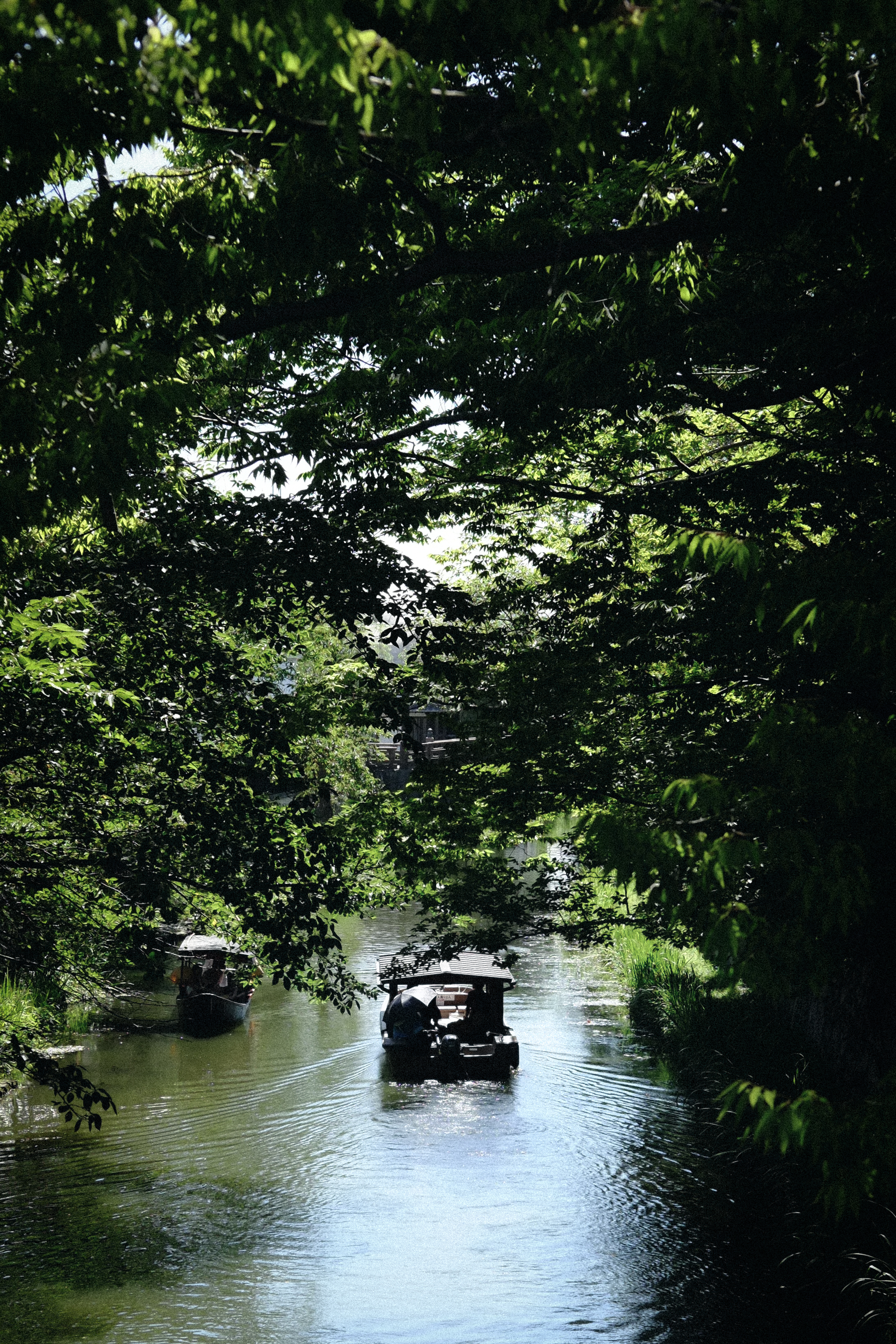 The Canal of Ōmihachiman in Midsummer 2018 Tez Tam